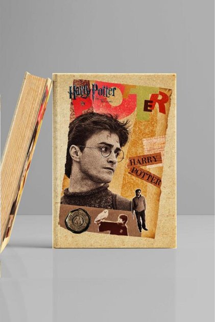 Book-Looking Decorative Box 16.5X24.5 cm Harry Potter & Hermonie Granger Licensed