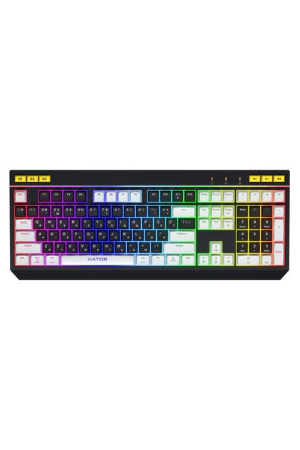 Tastatură de gaming USB cu fir Icefall, RGB cu 8 zone, 1000Hz, Negru/Alb