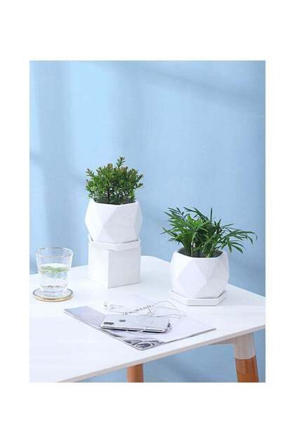 2-Piece Small Polygon Ceramic Flowerpot Modern Simple Plant Pot With Tray