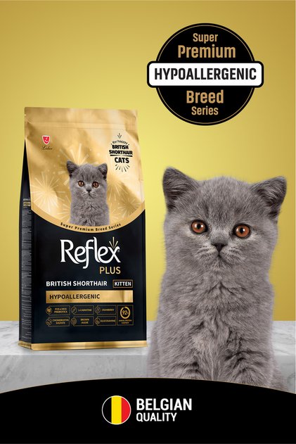 アリスラブリアサマ　 Re:Platinum 　 1000ml×2 Reflex Plus British Shorthair Yavru Kedi Maması 8 Kg - Fiyatı