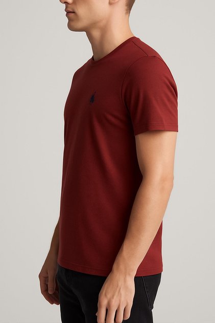 Men's Burgundy Crew Neck Regular Fit Basic T-Shirt C1T0N2O2