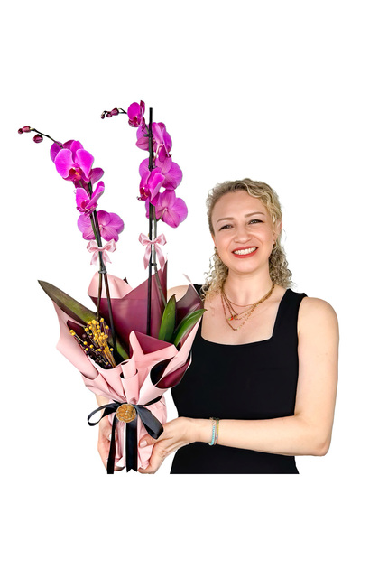 Mor Orkide - Hediye Paketli - Purple Orchid