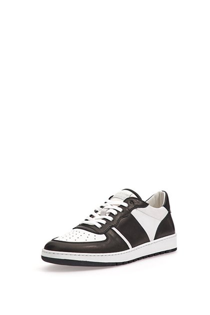 Collegium Destroyer Erkek Deri Sneaker