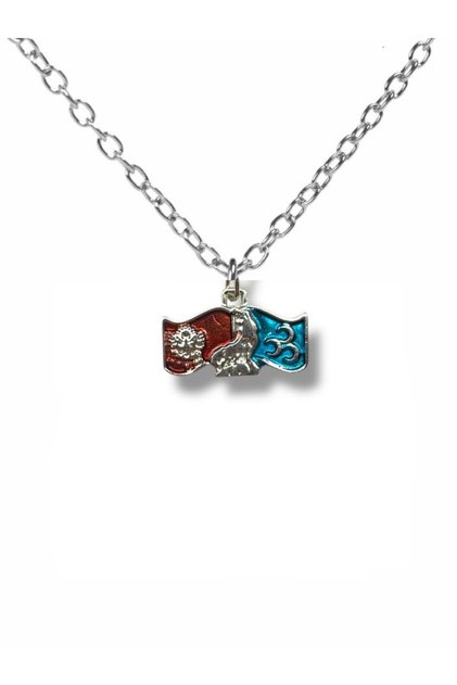 Türkiye Map Necklace with Gray Wolf and Crescent Figure – Silver Color Unisex Metal Jewelry