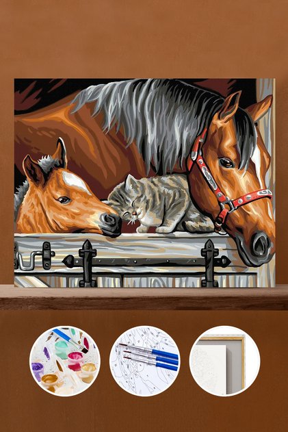 Sayılarla Boyama Seti Çerçeveli Kasnaklı At Tay Ve Kedicik 40x50cm