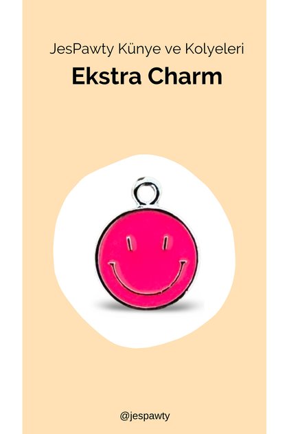 Charm Silver Color Plated Compatible with Necklace and Tag