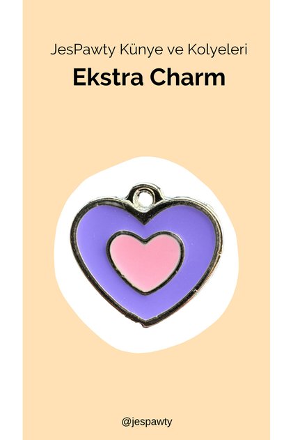 Charm Silver Color Plated Compatible with Necklace and Tag