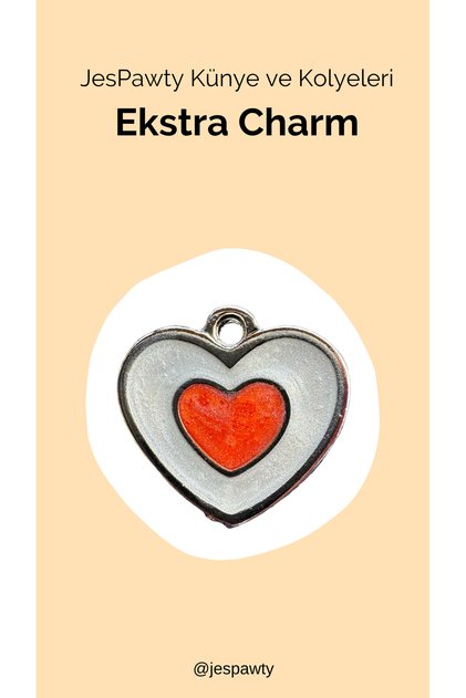 Charm Silver Color Plated Compatible with Necklace and Tag
