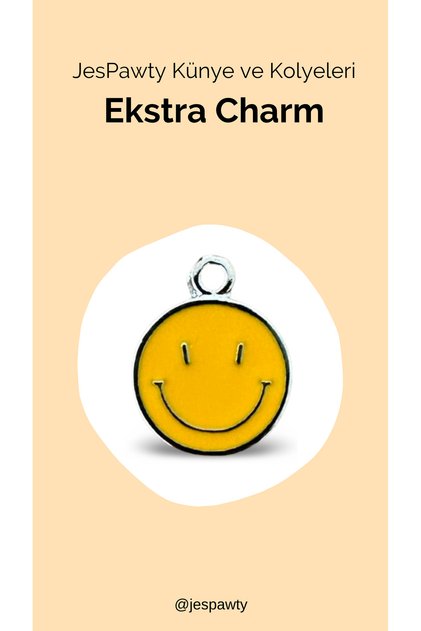 Charm Silver Color Plated Compatible with Necklace and Tag