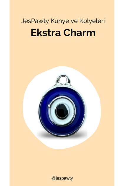 Charm Silver Color Plated Compatible with Necklace and Tag