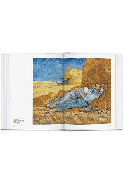 Taschen Van Gogh - Fiyatı, Yorumları