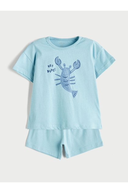 Blue Crew Neck Baby Boy T-Shirt and Shorts 2-Piece Set