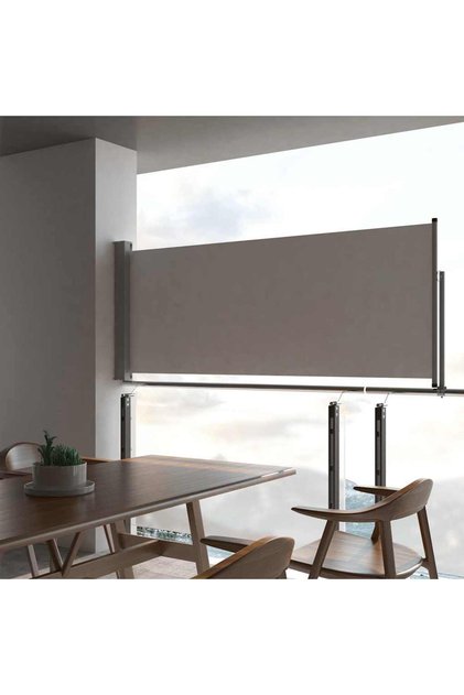 Patio Retractable Side Awning 100 x 300 cm Grey