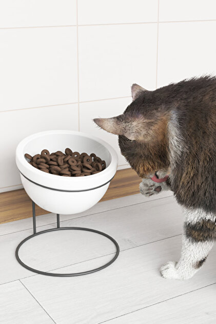 Dekula Seramik Mama Ve Su Kabı Metal Standlı Kedi Köpek Mama Kabı