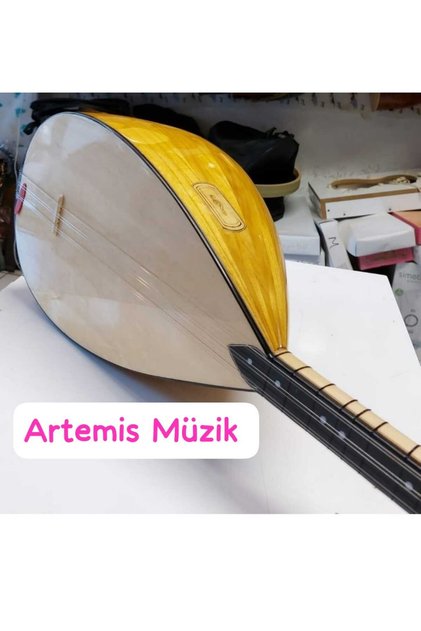 Profesyonel Uzun Sap Dut Bağlama