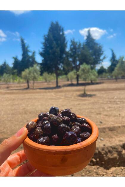 Az Tuzlu Gemlik Yağlı Sele Sofralık Siyah Zeytin 291-320 Kalibre 10 KG