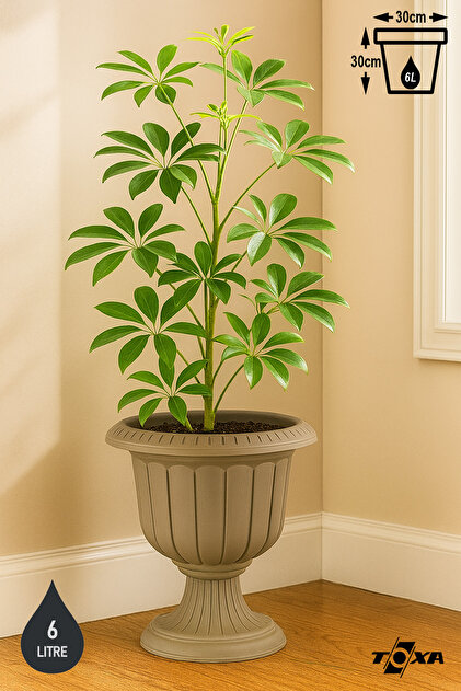 ToXA Serinova Nergis Saksı 6 Litre Deliksiz Mocha Kahve Ayaklı