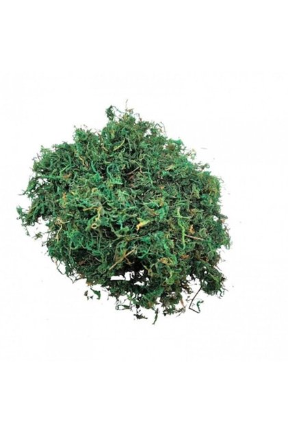 Mușchi artificial, 20 de grame, verde
