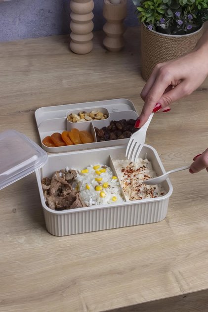Striped 5 Compartment Lunch Box with Fork and Spoon Transparent Lid Leakproof Lunch Box School Office 1 Piece