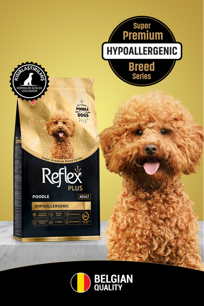 Reflex Plus Poodle Yetişkin Köpek Maması 8 Kg - Fiyatı, Yorumları