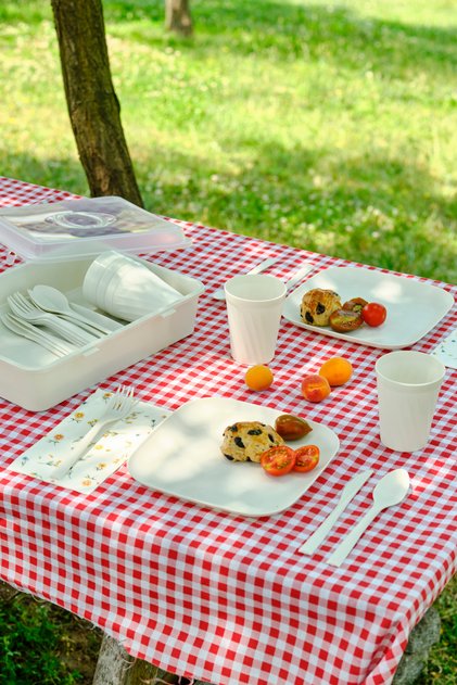 Container Rocca 32 Parça Piknik Seti Krem