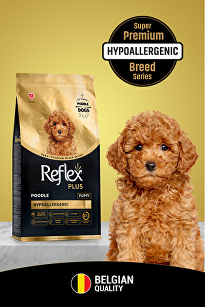 Reflex Plus Poodle Yetişkin Köpek Maması 8 Kg - Fiyatı, Yorumları
