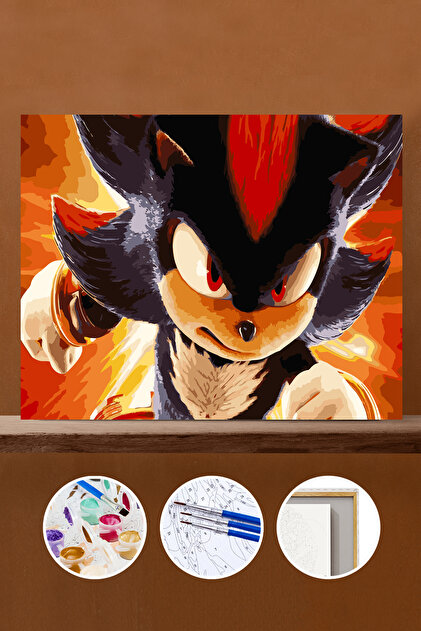 Pastelya Sayılarla Boyama Seti Çerçeveli Kasnaklı Sonic 40x50 cm