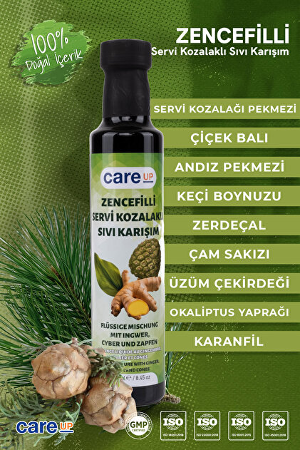 Care Up Zencefilli Servi Kozalaklı Karışım Pekmezi 350g - Fiyatı