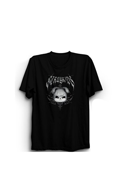 StrayKids ペンミ Tシャツ The Fame Stray Kids, Skzoo, Evil Puppym, K-Pop Müzik Grubu, Unisex