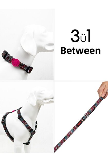 Graffiti H-Type Chest Neck Collar and Ship Strap Set 3 in 1