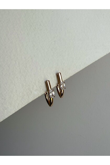 Steel Rose Gold Solitaire Oval Form Clinton Earrings -No Tarnish-