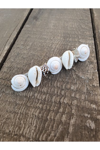 Natural Seashell Buckle