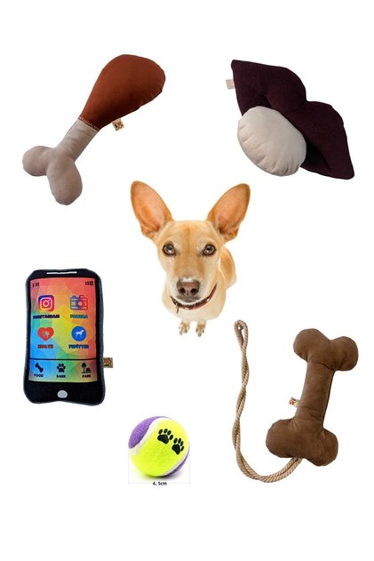 5-Piece Dog Toy Set (with Bone Toy)