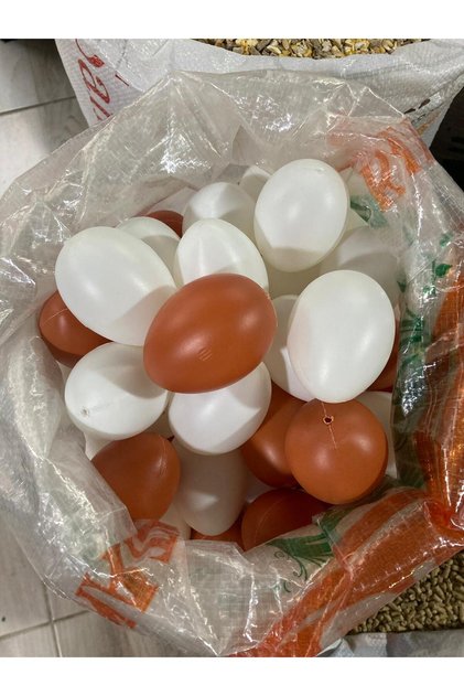 Plastic Chicken Eggs 10 Pcs, 10 Pcs for Chicken Eggs Eating Problem