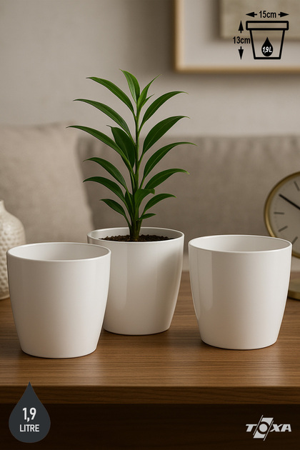 ToXA 3 Adet 1,9 Litre 15cm Kirli Beyaz Izgaralı Tabaksız Plastik