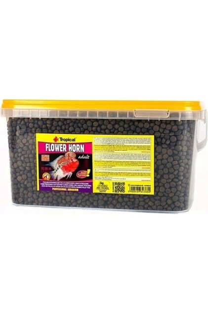 Flowerhorn Adult 100 GR