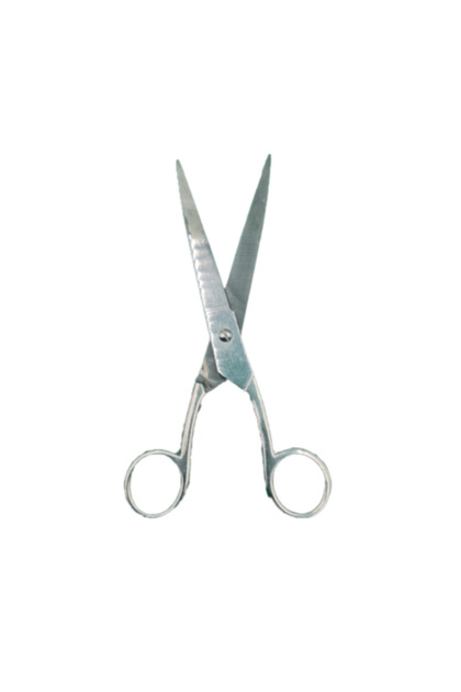 Foarfeca Profesionala de Tuns, Otel Inoxidabil, Normala, Argintie, 20 cm,