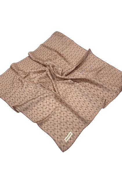 Silk Scarf - 8631438-991 Powder
