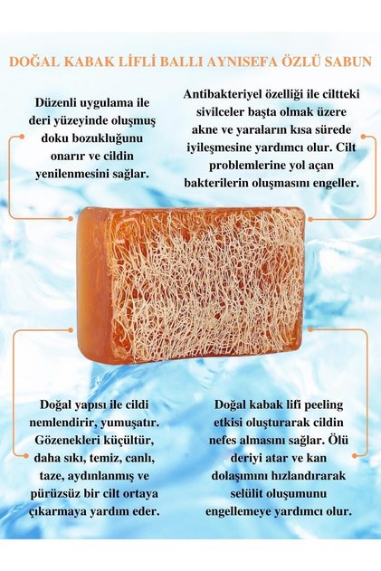 Ballı Aynısefa Özlü Kabak Lifli Sabun