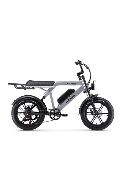 RIDE FUSExLTCコラボモデル 27cm Ape Ryder COLOBUS PREMIUM ELEKTRİKLİ BİSİKLET - 750W - Fiyatı