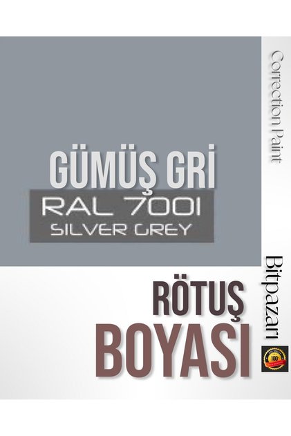 Silver Gray White Goods Touch up Paint 25ml - Ral7001