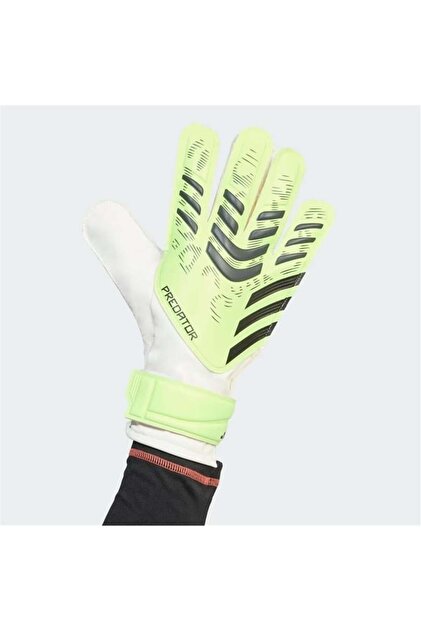 adidas Predator GL TRN Kaleci Eldiveni JN5356 - Fiyatı, Yorumları