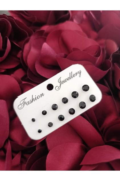 12 Adet Küpe Piercing Çok Amaçlı Ürün