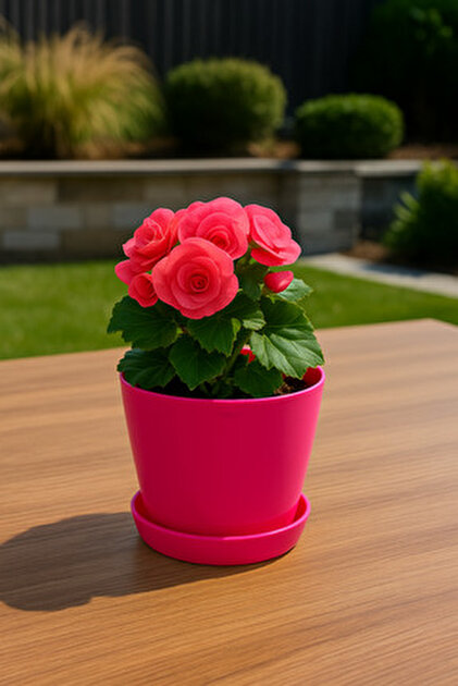 Plant Home Power Mix 5'li Orkide Dekoratif Saksı Seti 1,25 L