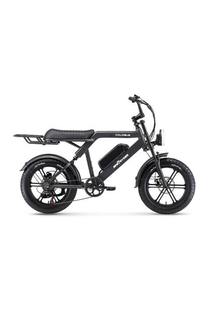Ape Ryder COLOBUS PREMIUM ELEKTRİKLİ BİSİKLET - 750W - Fiyatı
