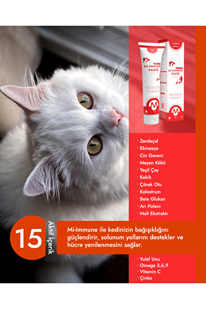 Miniklisi Kedi Bağışıklık Malt Macunu 100 gr Mi-İmmune Paste