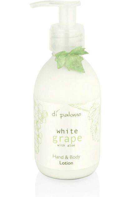 ordinary aloe 2 The Ordinary Aloe 2% + NAG 2% Solution 30ml