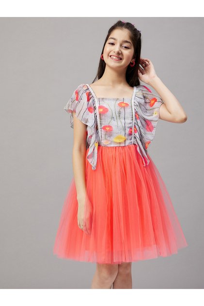 Frill Sleeve Printed Dress with Mesh Insert