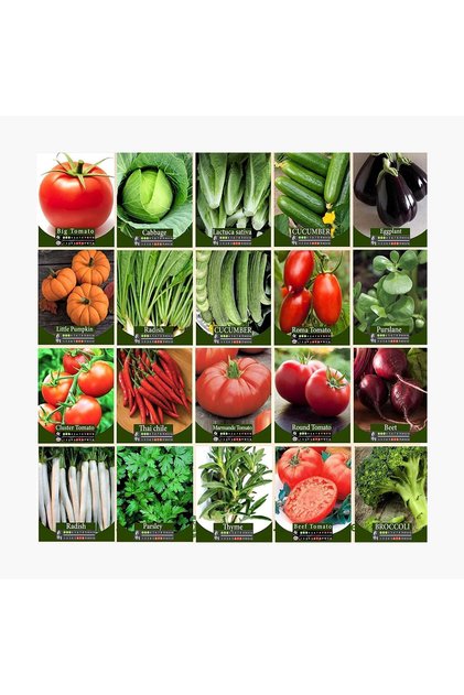 Germination 95% Combination of Mix Vegetables and Herbs Seeds - Set of 20 Packets