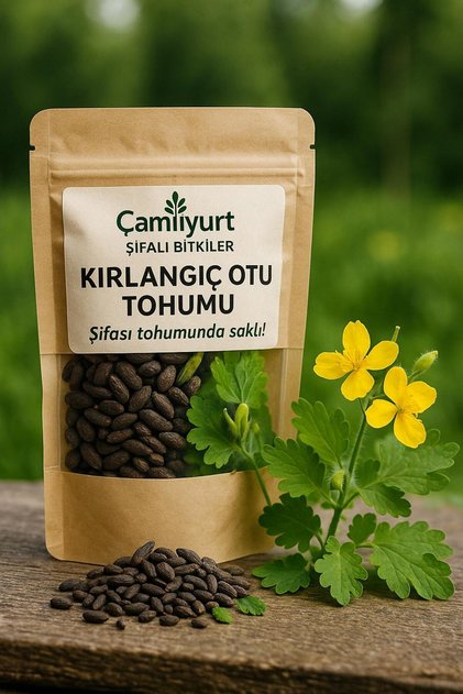 Kırlangıç Otu Tohumu 75 Adet Hızlı Çimlenme Organik